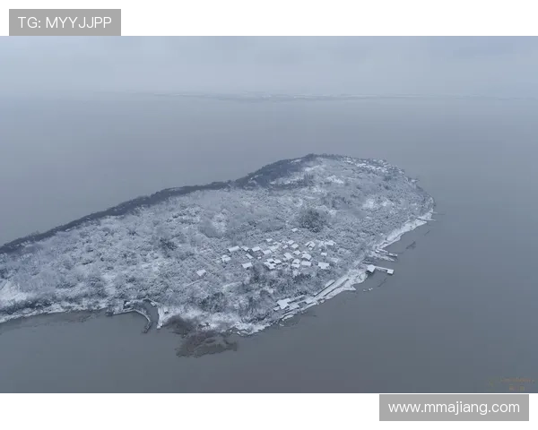 哪里有卖各类扑克牌的实体店铺及线上商城详细介绍