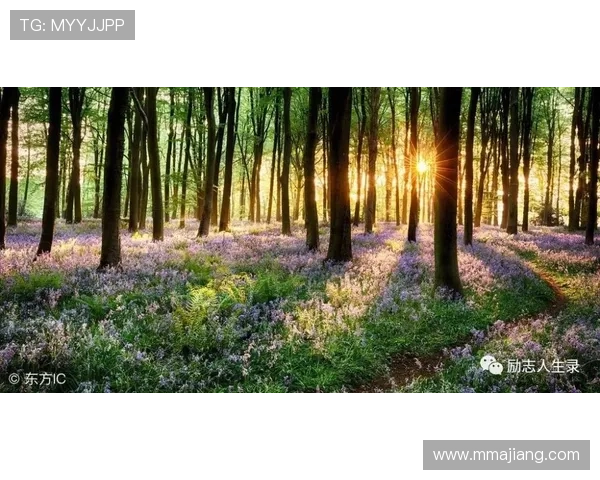 德州扑克国际首页：全球德州扑克新闻热点追踪与行业动态深度报道平台